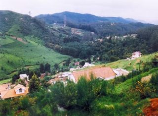 6439686_20100714551_large